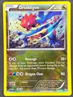 Druddigon