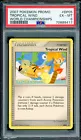 Tropical Wind