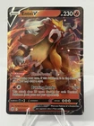 Entei V