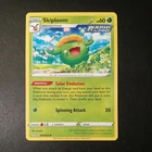 Skiploom