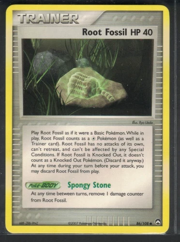 Root Fossil