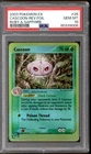 Cascoon