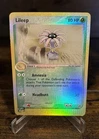 Lileep