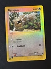 Zigzagoon