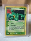 Treecko