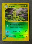 Bayleef