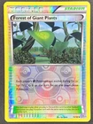 Forest of Giant Plants