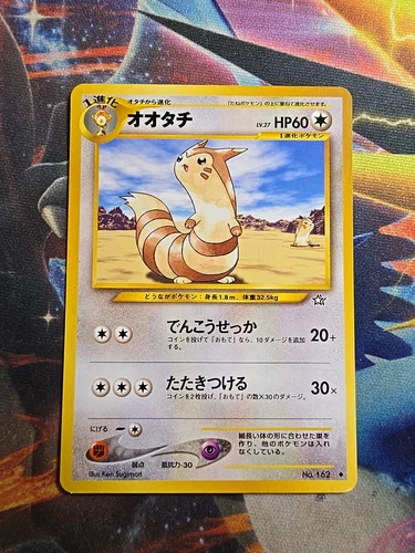 Furret