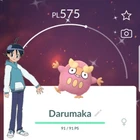 Darumaka