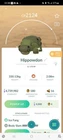 Hippowdon