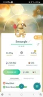 Smeargle
