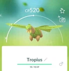 Tropius
