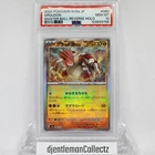 Groudon