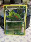 Grovyle