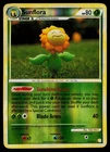 Sunflora
