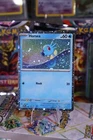 Horsea