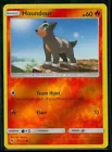 Houndour