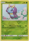 Illumise