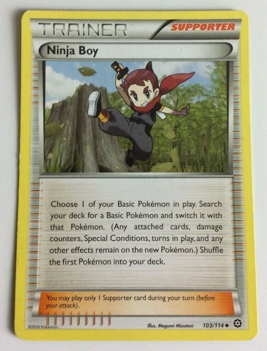 Ninja Boy