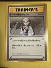 Professor Oak's Hint