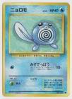 Bidoof