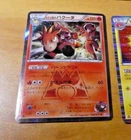 Team Magma's Camerupt
