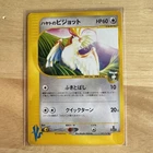 Falkner's Pidgeot