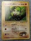 Brock's Mankey