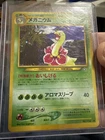 Meganium
