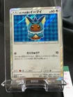 Poncho-Wearing Eevee 