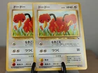 Doduo