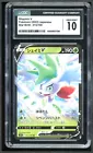 Shaymin V