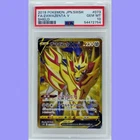 Zamazenta V
