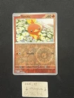 Torchic