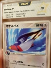 Swellow