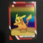 Pikachu's Vacation