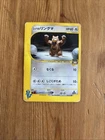 Ursaring