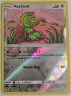 Kecleon