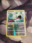 Kecleon