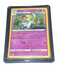 Collector Chest Fall 2022
