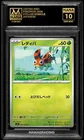 Ledyba