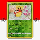 Ledyba