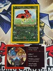 Ledyba