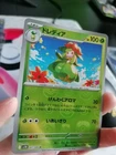 Ultra Ball