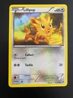 Lillipup