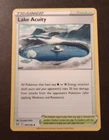 Lake Acuity