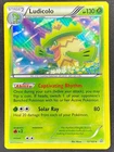 Ludicolo