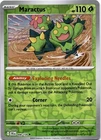 Maractus