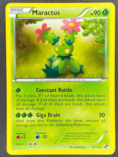 Maractus