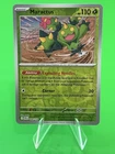 Maractus